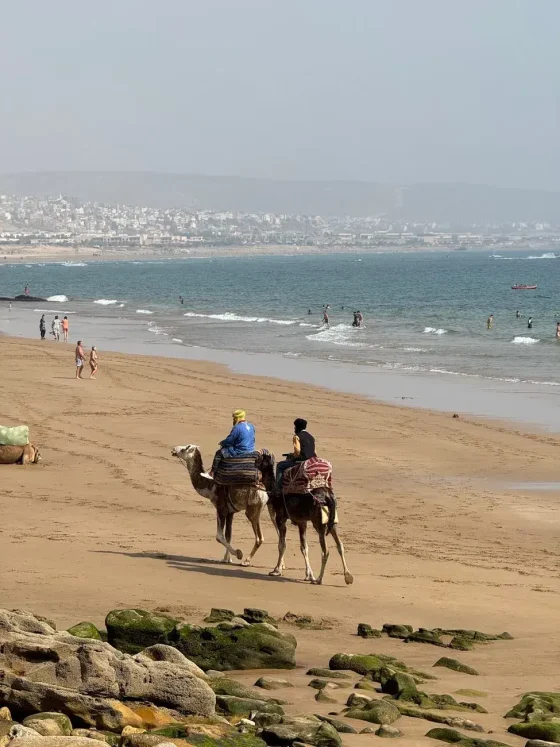 Day 6: Agdez - Taznakht - Taliouine - Taroudant - Agadir