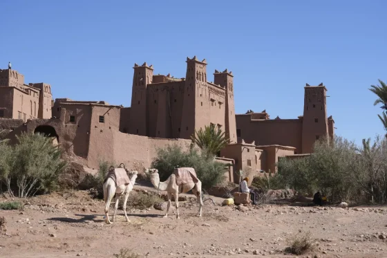Avventura nel Deserto da Fes a Merzouga in 3 Giorni foto 4
