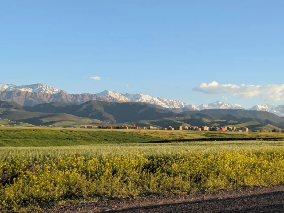 5-Day Private Desert Tour from Fes to Marrakech photo 5
