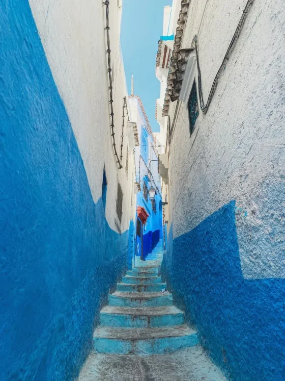 Day 3: Tangier (free morning) → Chefchaouen