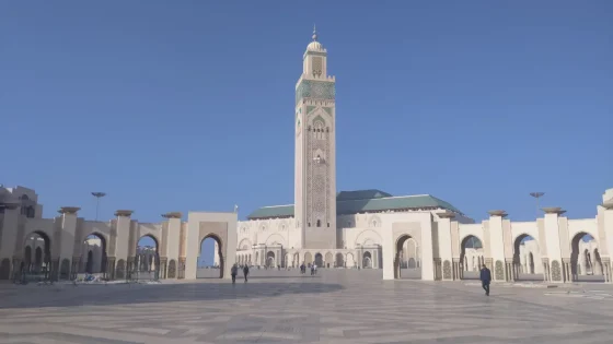 Day 7: Transfer to Casablanca Airport