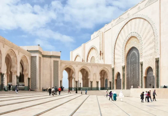Día 8: Visita guiada por Marrakech - Traslado a Casablanca
