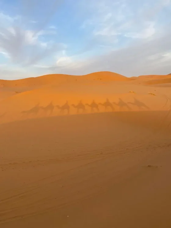 Casablanca to the Desert