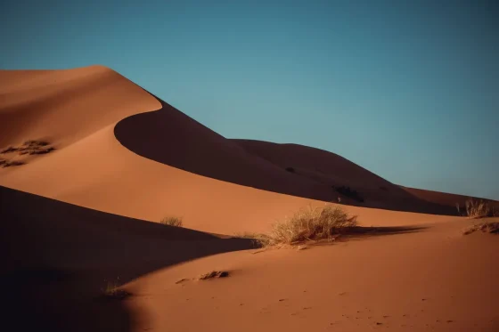 Day 2: Merzouga - High Atlas - Marrakech
