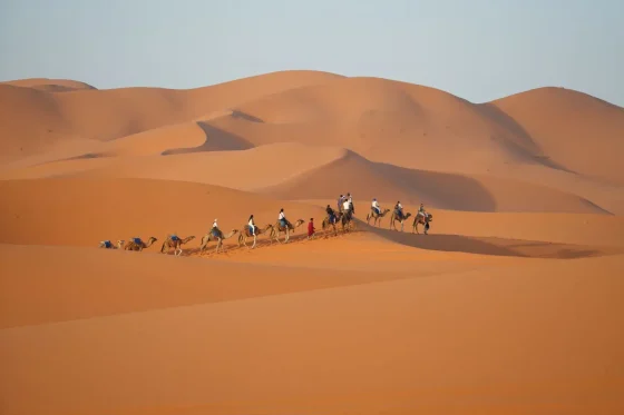 Día 7: Merzouga → Rissani → Gargantas del Todra → Valle del Dades