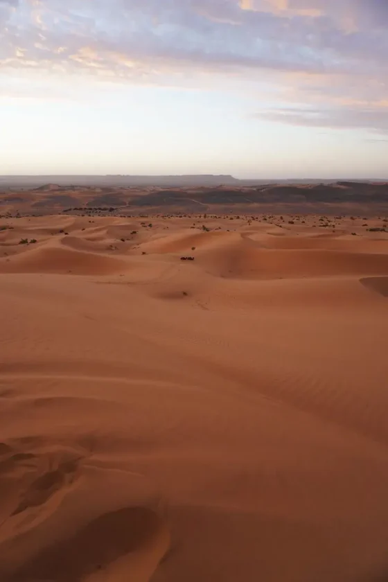 Day 1: Marrakech - High Atlas - Merzouga - Desert Camp