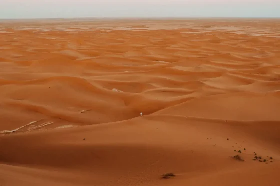 Day 7: Fes → Middle Atlas → Ziz Valley → Merzouga