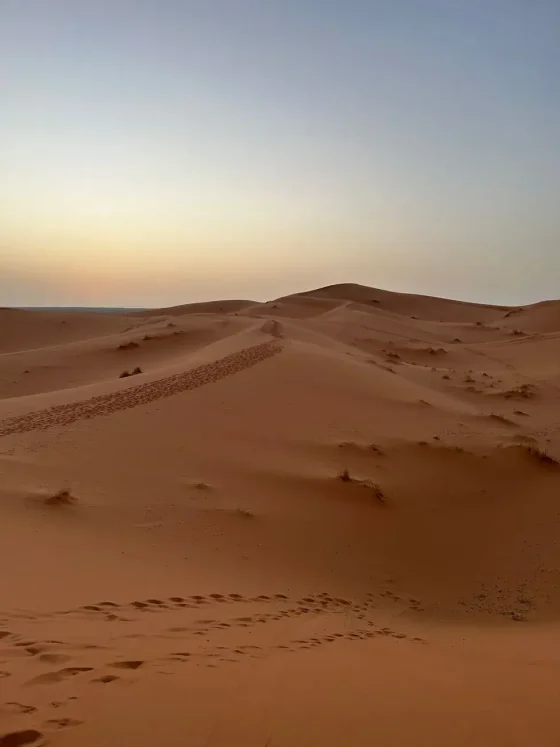 Day 8: Merzouga Desert Tour