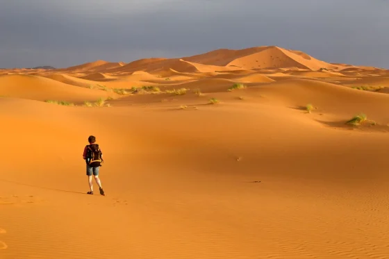 3 Days Tour from Marrakech to Merzouga photo 5