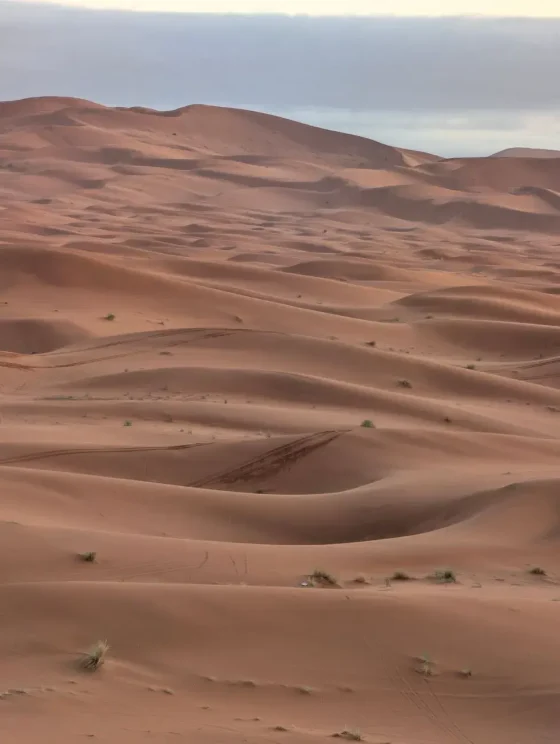 Day 3: Merzouga Desert - Khamlia - Mifis Mine - Nomads
