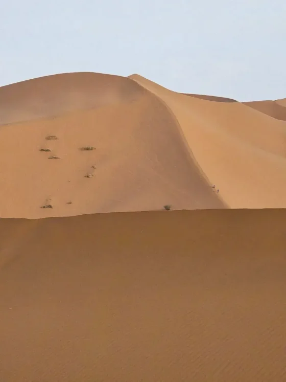 Day 4: Dades - Todra Gorges - Merzouga - Camel Trekking - Camping