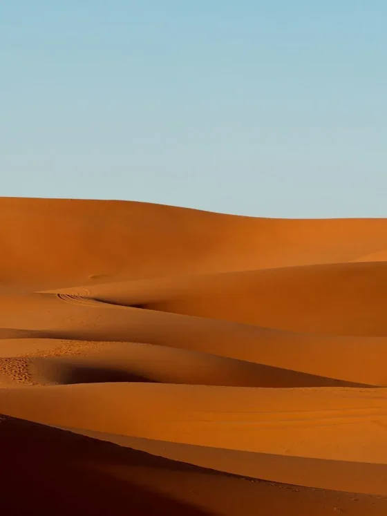 Day 4: Dades → Todra Gorges → Merzouga desert