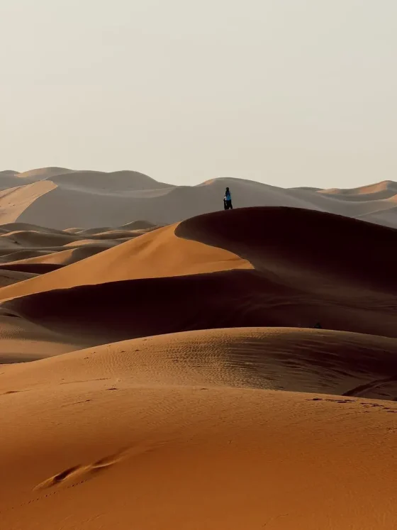 Giorno 2: Ouarzazate - Valle delle Rose - Gole del Todra - Merzouga