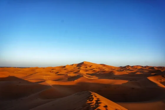 Day 2: Merzouga - Ziz Valley - Cedar Forest - Ifrane - Fes