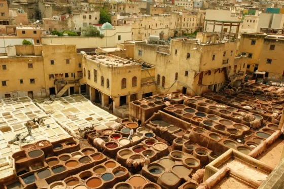 Day 6: Fes Guided Tour