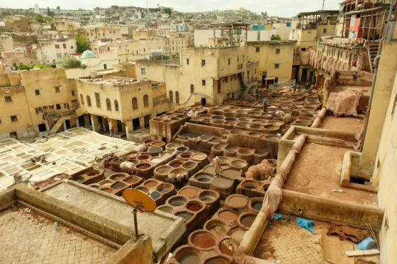 Day 4: Fes Discovery Tour