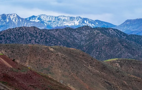 Tour de 5 días de Tánger a Marrakech por el Sahara foto 4
