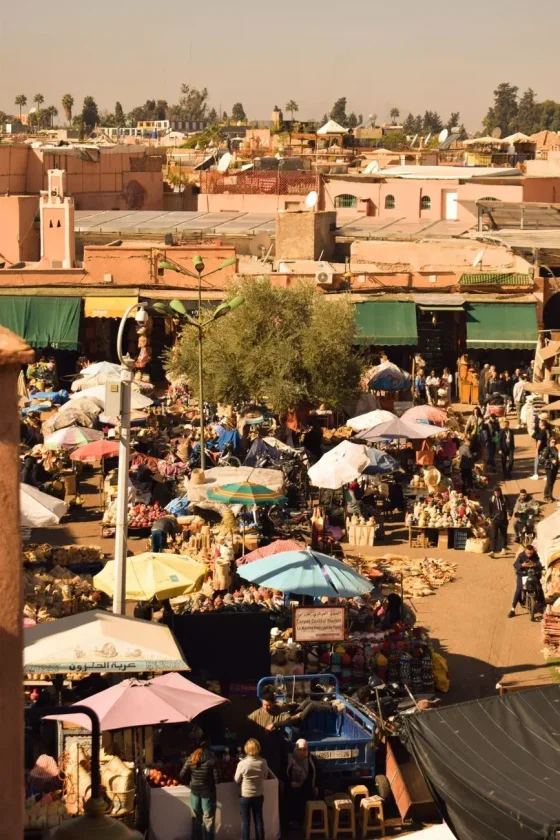 Day 9: Marrakech Guided Tour
