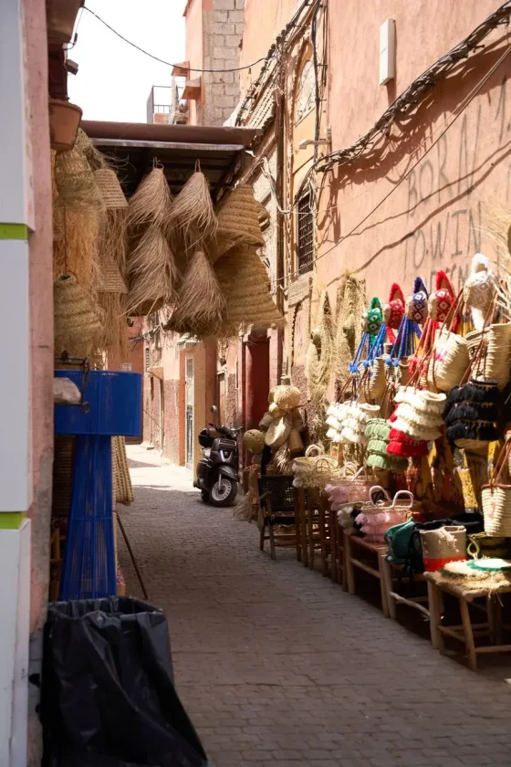 Day 2: Day 2 - Explore Marrakech