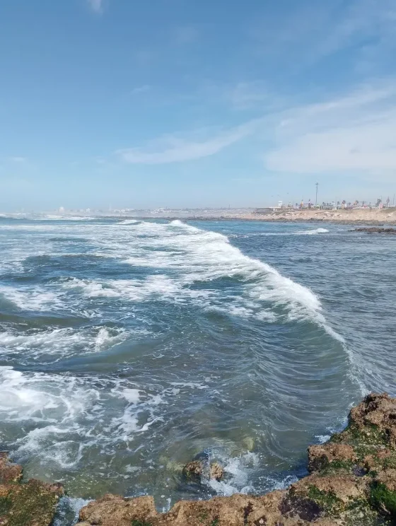 Day 7: Agadir - Airport Transfer