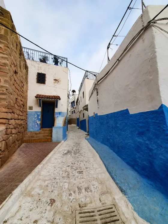 Day 2: Casablanca → Rabat → Cedar Forest → Boulaajoul