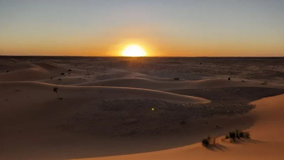 Day 5: Fes - Ifrane - Cedar Forest - Ziz Valley - Merzouga