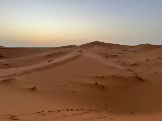 Day 6: Merzouga - Rissani - Todra Gorges - Dades Gorges