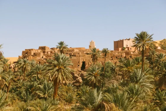 Skoura oasis