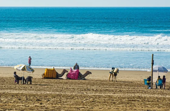 Surf coast